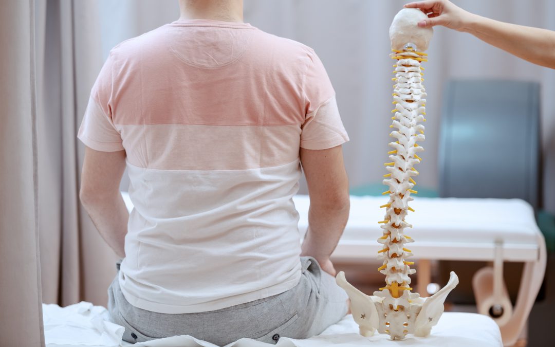 Seated patient viewed from behind next to a full anatomical spine model displayed at human scale.